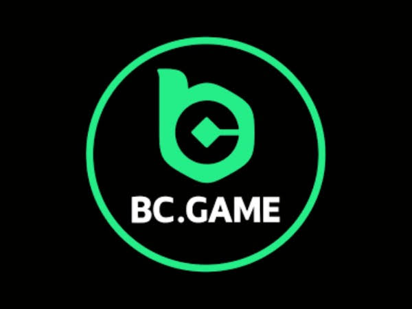 Understanding the BC.Game Login Process A Comprehensive Guide -333302119